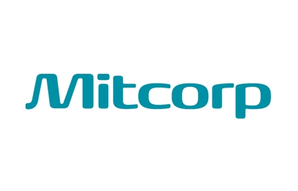 Videoendoscopi industriali Mitcorp