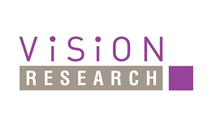 vision research